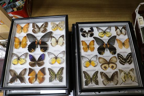 Nine cases of butterfly specimens
